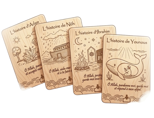 Pack 15 cartes Audio